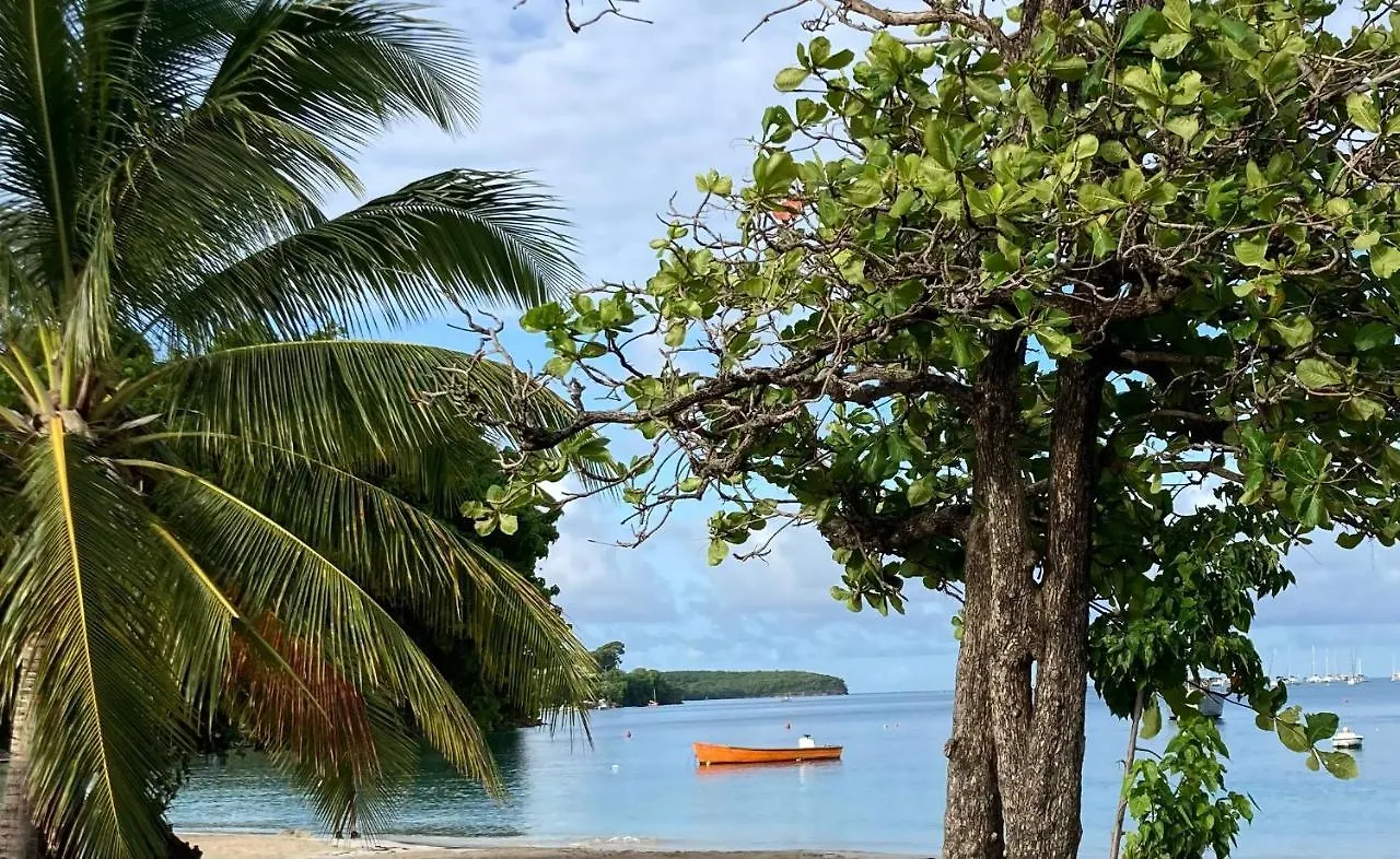 Le Toutapied , Sainte-Anne, Appartement En Plein Centre Martinique